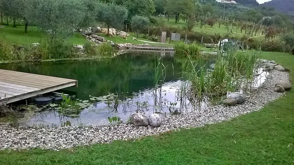Agriturismo Mazzeracca Bassano del Grappa Alloggio per agriturismo