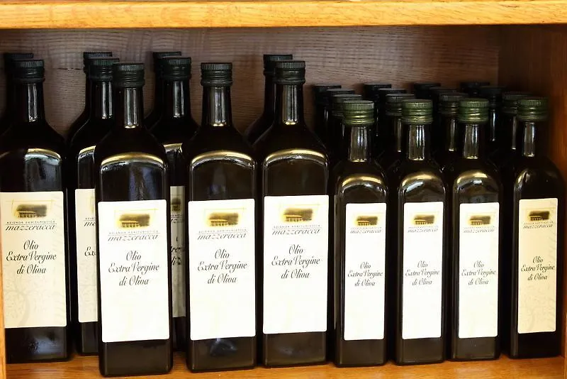 Agriturismo Mazzeracca Bassano del Grappa Alloggio per agriturismo