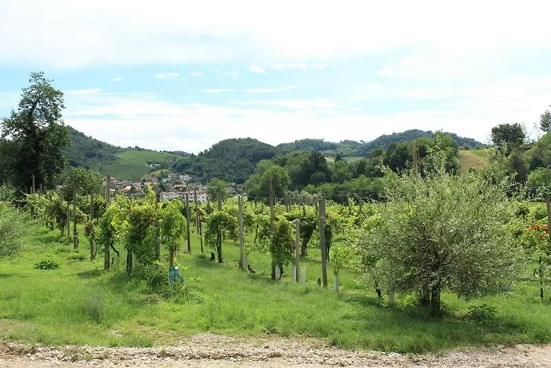 Agriturismo Mazzeracca Bassano del Grappa 0*,